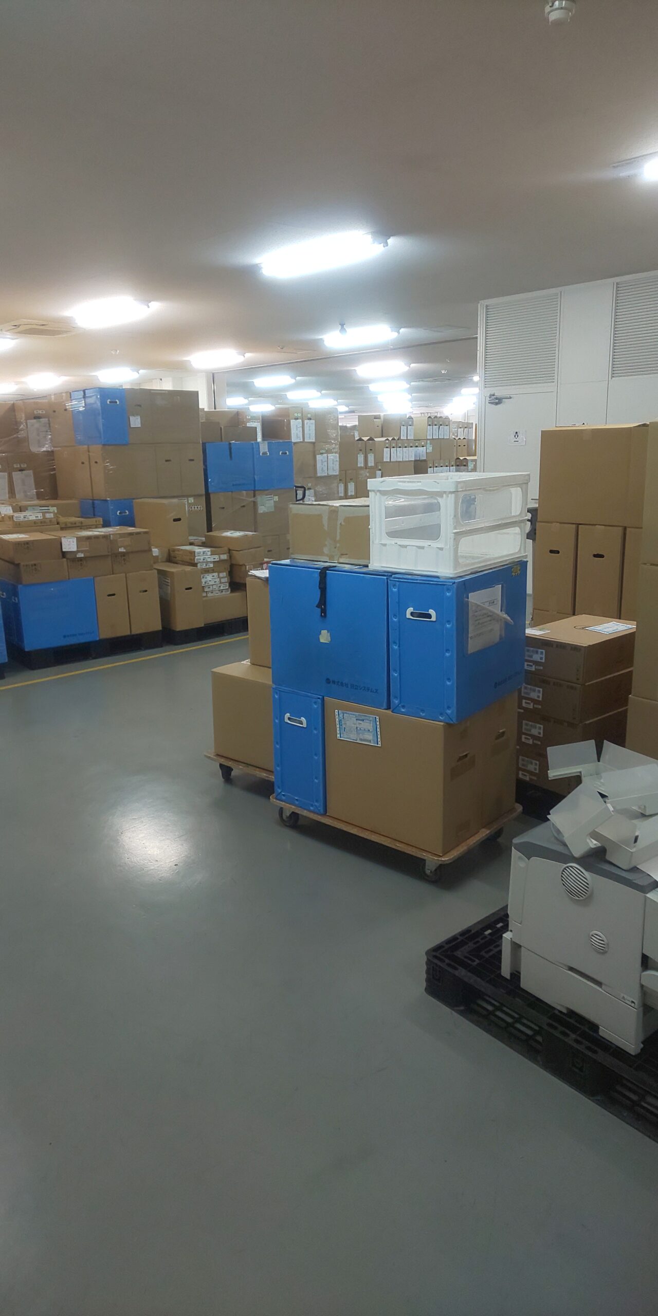 大島さま専用　(7\17配送) ヤマト運輸とタイアップ！ OK!!広島コラボ段ボール発売開始！ | OK