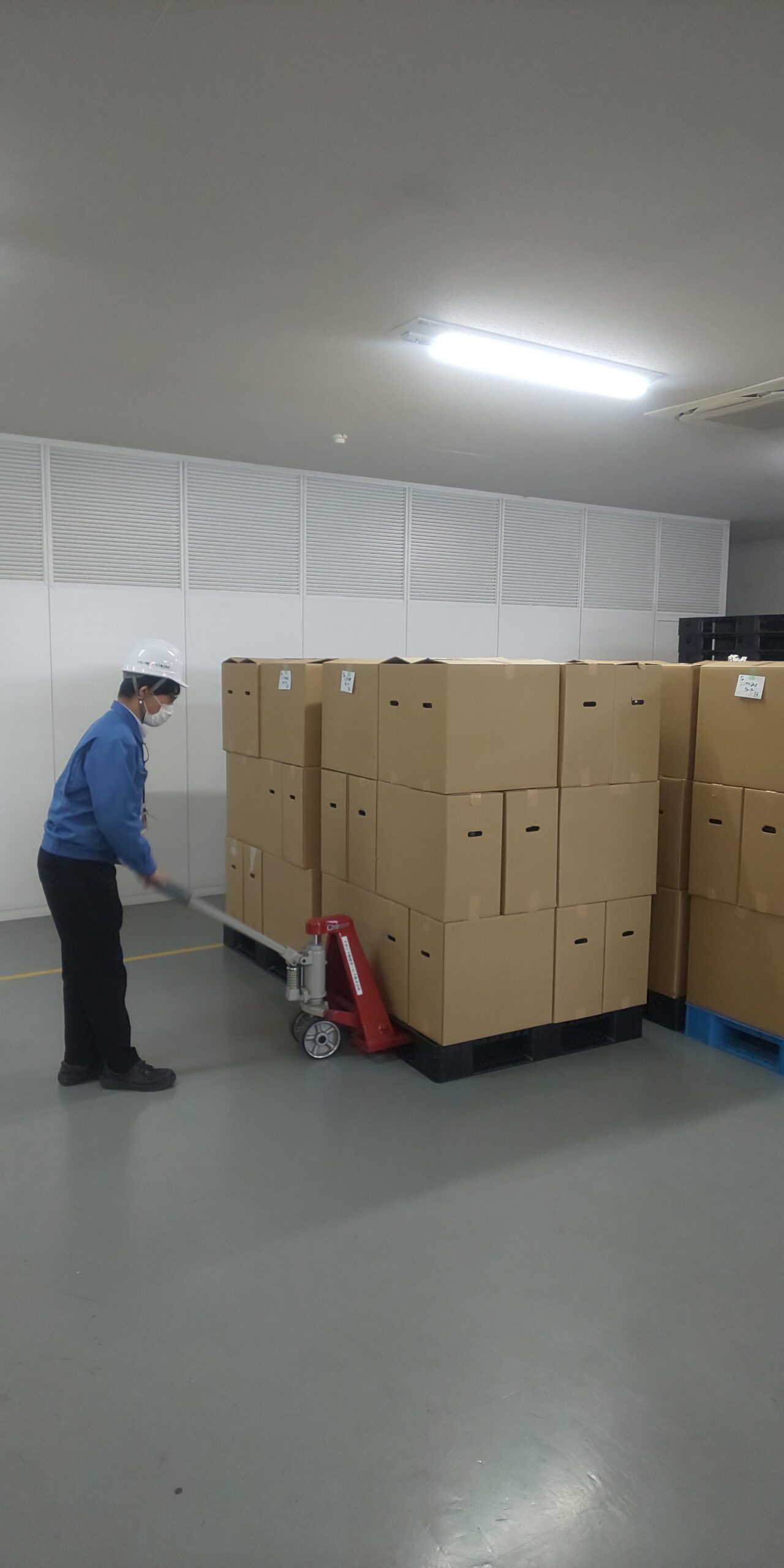 大島さま専用　(7\17配送) ヤマト運輸とタイアップ！ OK!!広島コラボ段ボール発売開始！ | OK